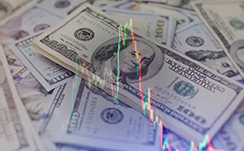 华安百联消费REIT：百联股份一致行动人增持约1084万份，占1.084%